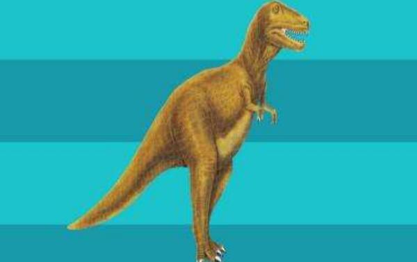 杂肋龙：法国大型食肉恐龙（长8米/距今1.63亿年前）