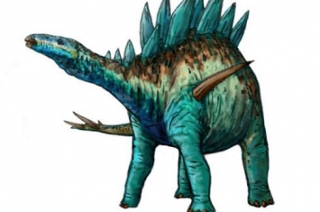 似花君龙：非洲中型食草恐龙（长5米/距今1.45亿年前）
