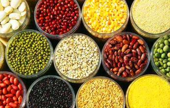 古代主要吃什么粮食：粟、黍、稻、小麦、大麦等等