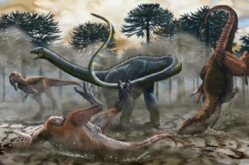 探索龙：阿根廷超巨型恐龙（长20米/距今8300万年前）