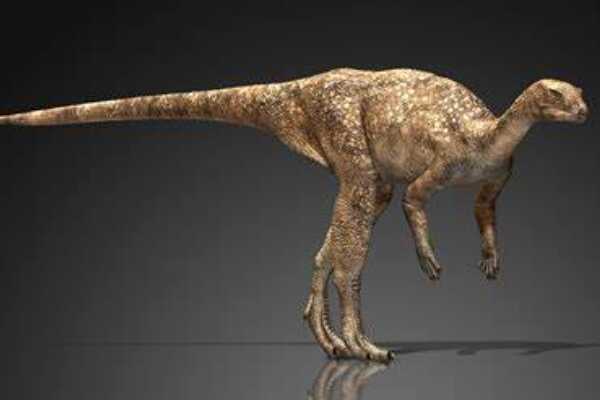 多齿灵龙:四川小型恐龙(长1.2米/最完整鸟脚类化石)