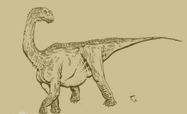 帕克氏龙：阿根廷小型食草恐龙（长2米/距今6500万年前）