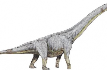 柏利连尼龙：阿根廷超巨型恐龙（长25米/7000万年前）