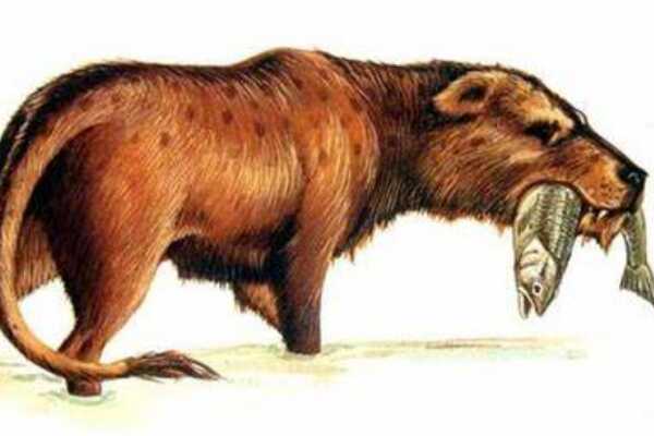 埃及重脚兽:大型哺乳类(酷似犀牛/长有一对匕首状角)