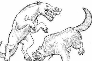 裂肉兽:最大的牛鬣兽科动物(长4米/狼和熊的结合体)
