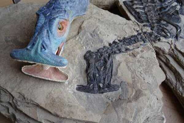 无畏摩罗斯龙:霸王龙的迷你祖先(体长仅3米)