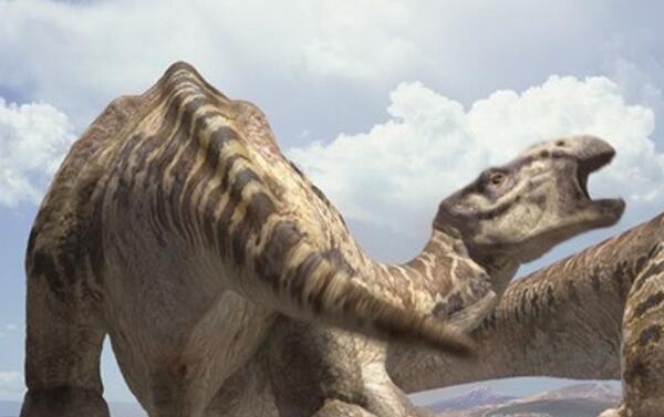 利加布龙：阿根廷超巨型恐龙（长24米/距今9900万年前）