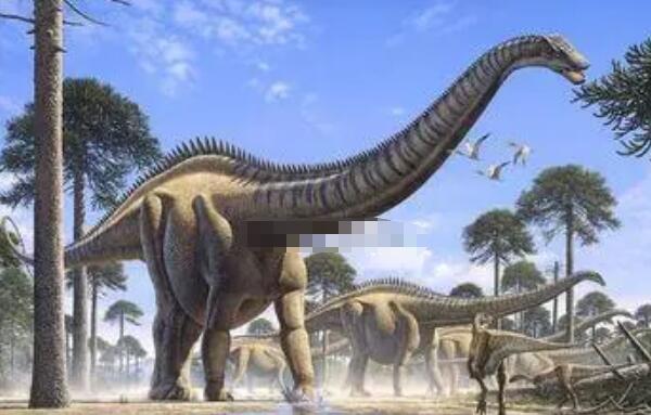利加布龙：阿根廷超巨型恐龙（长24米/距今9900万年前）