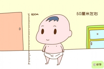 孕期为什么会长身高呢呢,为什么新生儿身高都在50厘米左右