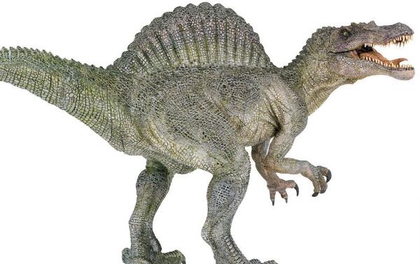 杏齿龙：阿根廷大型食草恐龙（长15米/距今1.67亿年前）