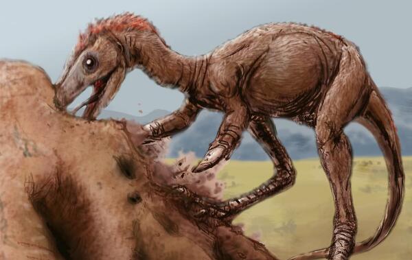 亚马逊龙：巴西大型食草恐龙（长12米/距今1.67亿年前）