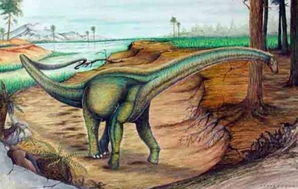 南极龙：阿根廷超巨型恐龙（长30米/脖子长度可达14米）