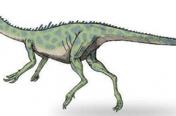 西北阿根廷龙：长1.8米的小型食肉恐龙（6500万年前）