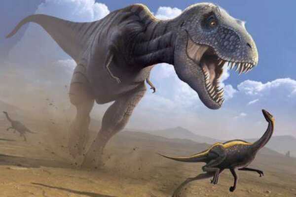 鲨齿龙科的五大恐龙:第一最长14.5米(被称第四大肉食龙)