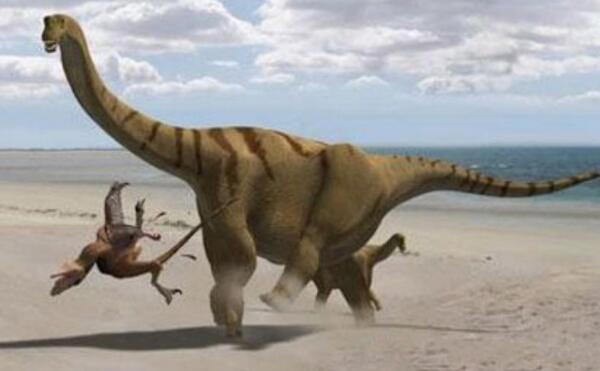 利迈河龙：阿根廷大型食草恐龙（长17米/1.25亿年前）