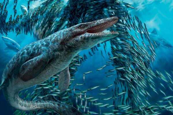 白垩纪乌因库尔组有什么恐龙?12种物种(最大体长40米)