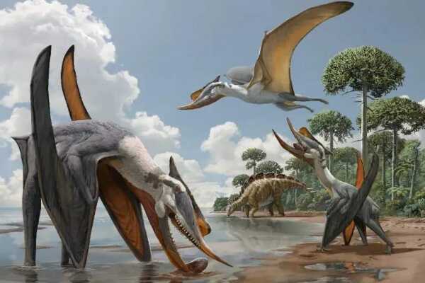 沧龙的祖先是什么动物?不足1米的蜥蜴被迫下水成霸主