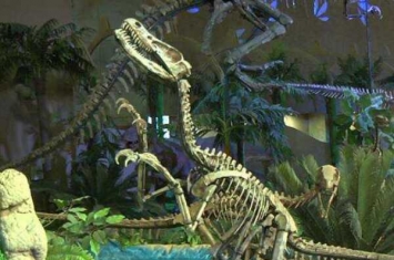赵氏怪脚龙:山东小型恐龙(长3米/后肢骨骼怪异)