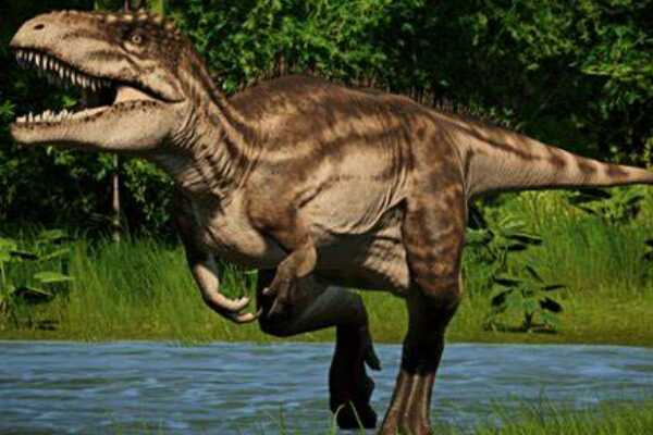 白垩纪十大最强恐龙:第一最长14.7米(拥有20万牛咬力)