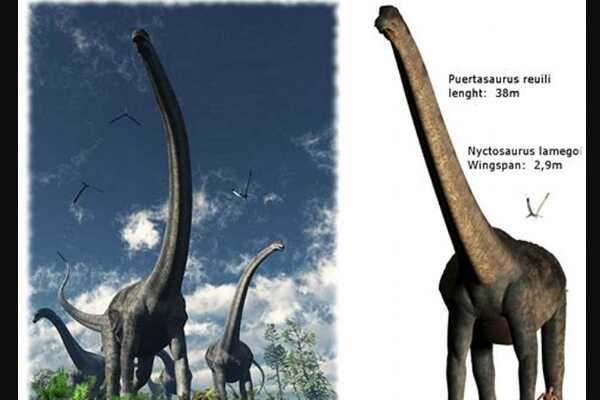 髂鳄龙:英国中型恐龙(长5米/髂骨保存最完好)