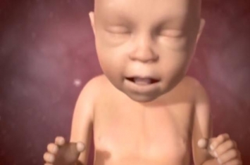 为什么早孕期间总打嗝,胎宝宝在孕妈肚子里为什么会打嗝呢