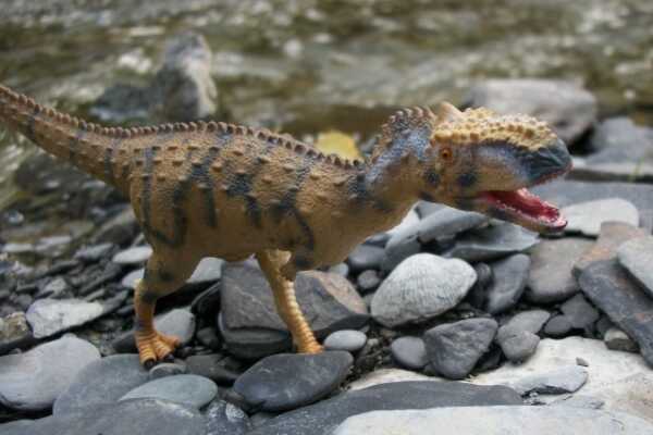 瑞氏普尔塔龙:拥有最宽蜥脚类脊椎(宽1.6米/体长30米)