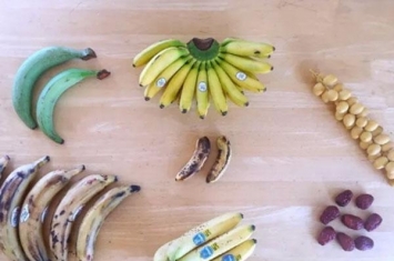 孕期吃香蕉为什么会恶心,香蕉和枣一起吃为什么会臭 香蕉和枣一起吃会怎么样