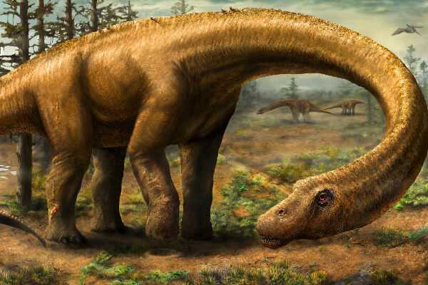 胜王龙:印度大型恐龙(长6.5米/眼睛上长角冠)