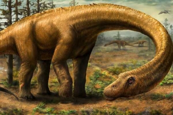 施氏无畏龙:全球最大恐龙化石(长26米/尾椎骨占1/4)