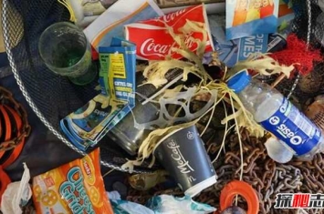 塑料污染来源哪里?塑料污染带来的十大危害(必知)