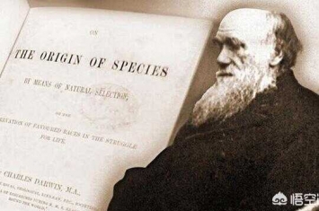 达尔文进化论为什么被人推翻了(达尔文晚年推翻自己的进化论了吗)