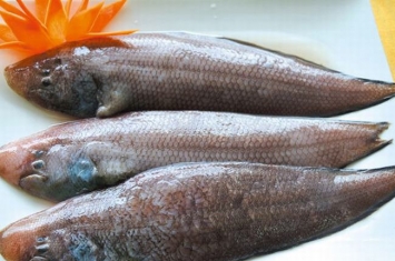 龙利鱼是什么鱼?形似牛舌，眼睛竟长在同一边(肉质鲜嫩)