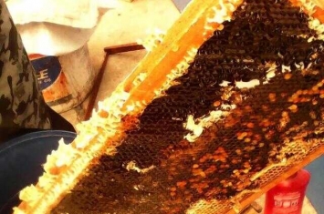 蜂蜜会过期吗过期的蜂蜜能吃吗(蜂蜜会过期吗过期了还能吃吗)