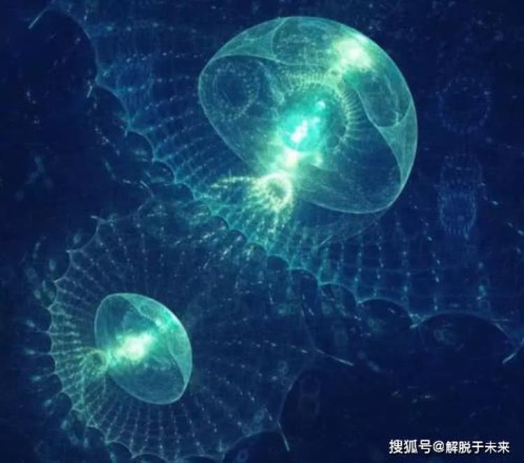 世界上最毒水母「2分钟致人死命世界最毒水母科学家终于找到对付它的解药了」