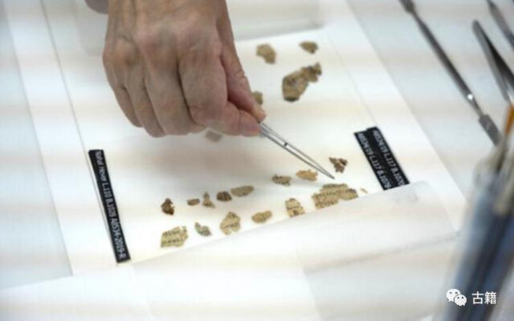 以色列发现死海古卷,最早的圣经历史
