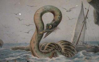 卡迪的大海蛇卡布罗龙，真实存在的水怪(无人质疑)