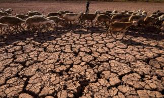 世界上干旱最严重的大洲：有着常年的干旱（非洲）