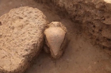 河南裴李岗遗址发现距今7000多年的小口尖底瓶