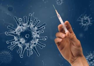 为何帮人类治愈病毒的疫苗，也是病毒制作（疫苗制作）